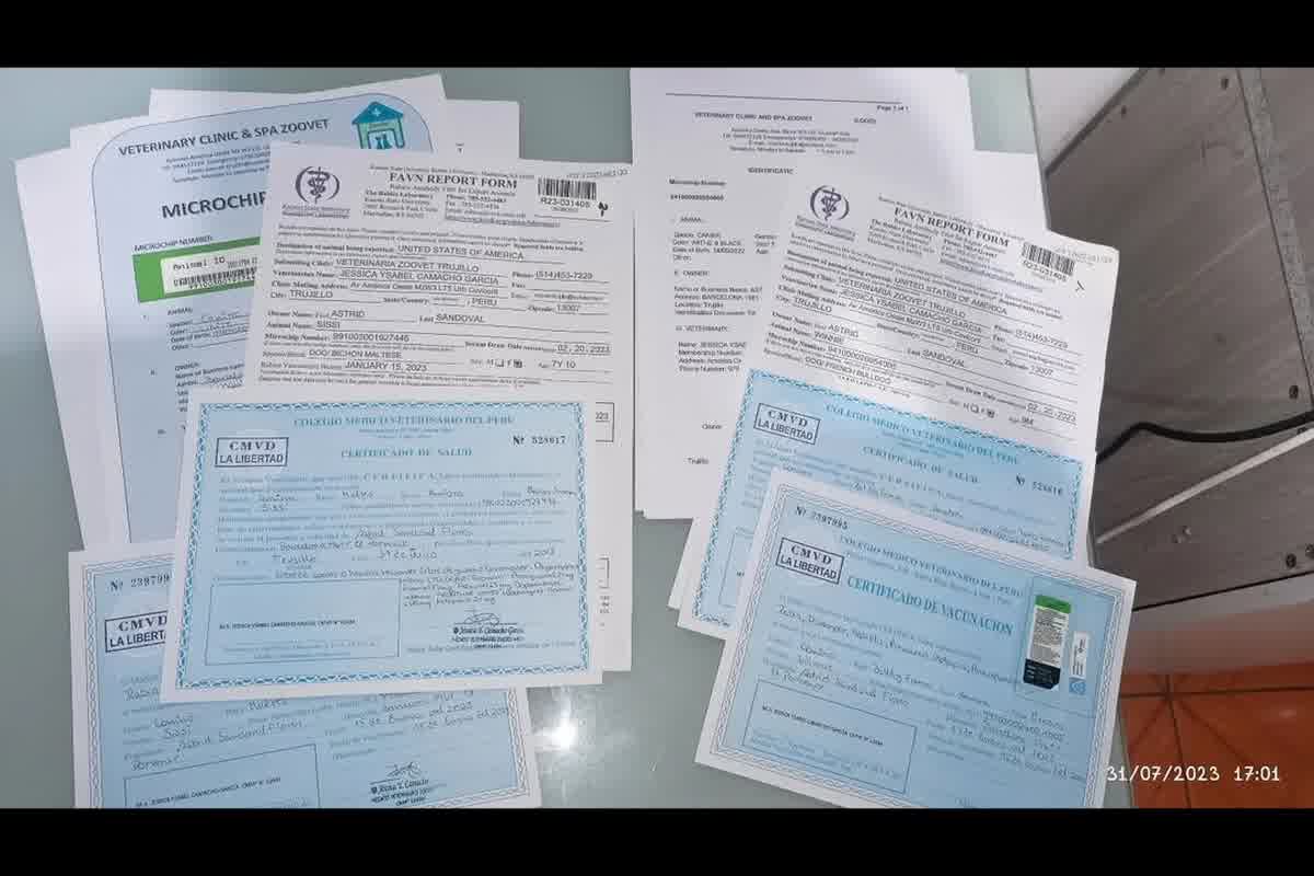 Secuencia CA07: microchip, vacunas, certificado CMVP, desparasitación e inspección