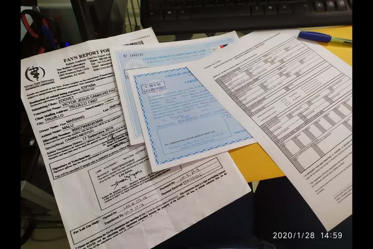 Dónde tramitar certificado de viaje para mascotas en Trujillo, Perú: entidades y sedes oficiales