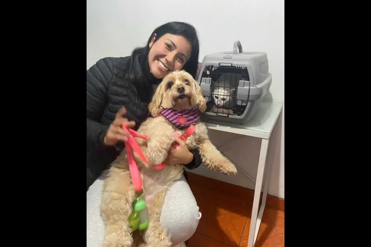 Exportación de mascotas en Trujillo: gestión del certificado zoosanitario y SENASA