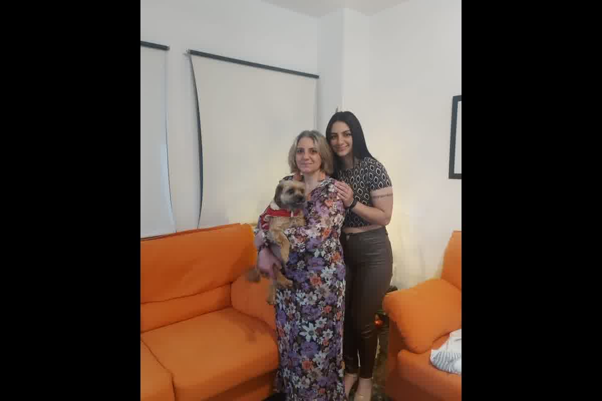 Exportación de perros y gatos de Perú a Canadá: requisitos CFIA y certificado bilingüe