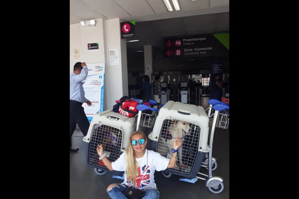 Mascota exportada con gestión integral y protocolo veterinario.